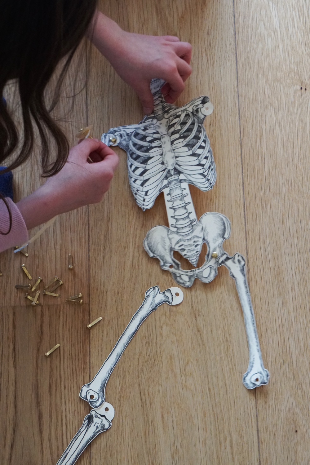 Skelett Action-Figuren Set - Bewegliche Gelenke Für Deko & Spiel