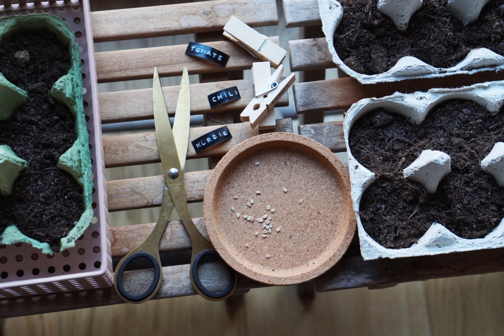 urban gardening anzucht 6