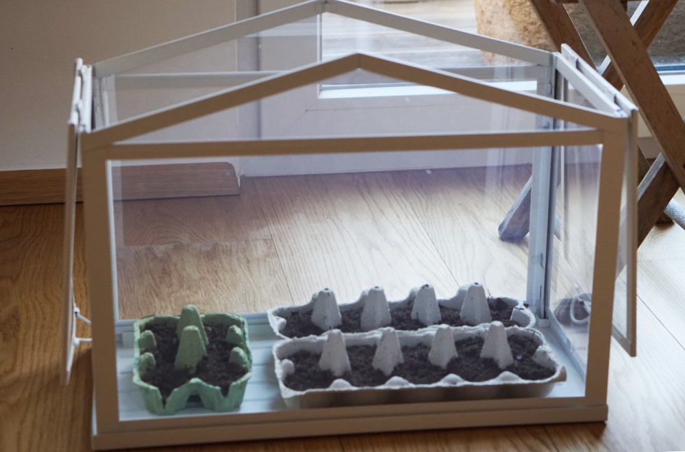 urban gardening anzucht 9