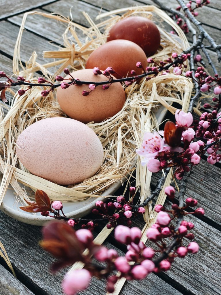 Eier färben mit Avocado Schalen PLUS 4 weitere Beispiele für Naturfarben